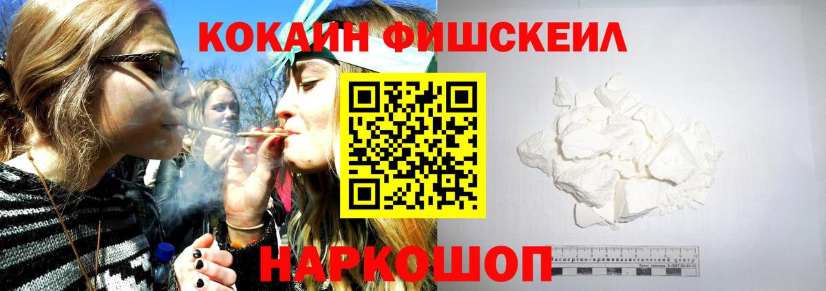 Будённовск  КОКАИН FishScale  где купить наркотик  Вход с VPN 
