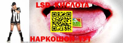 эйфоретик Аргун