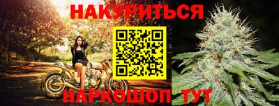 эйфоретик Аргун