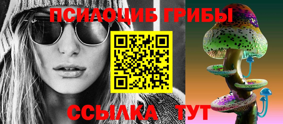 Будённовск  Псилоцибиновые грибы Magic Shrooms  Вход с VPN 