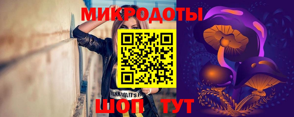 Псилоцибиновые грибы мицелий Будённовск
